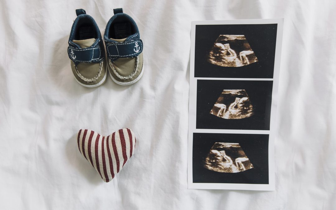 Doğum – Değişim – Sonsuz Dönüşüm -1-